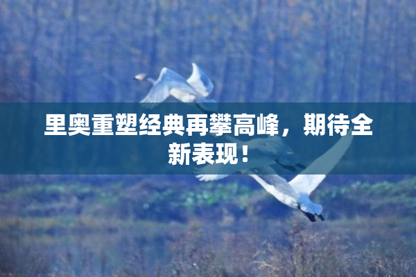 里奥重塑经典再攀高峰，期待全新表现！