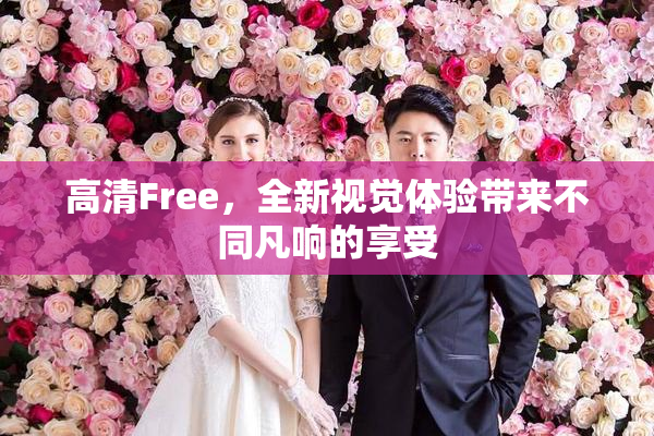 高清Free，全新视觉体验带来不同凡响的享受