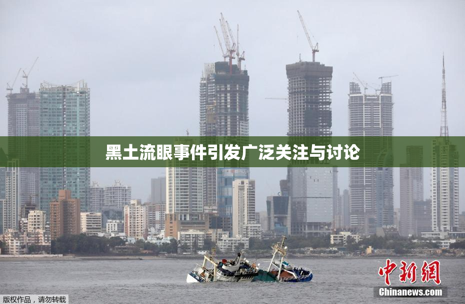 黑土流眼事件引发广泛关注与讨论