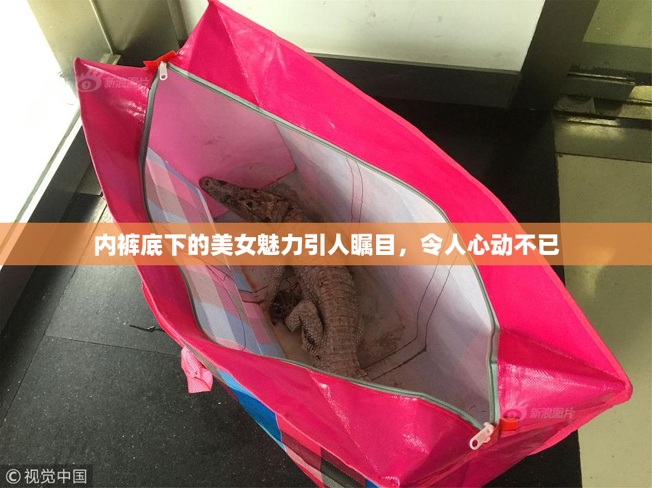 内裤底下的美女魅力引人瞩目，令人心动不已