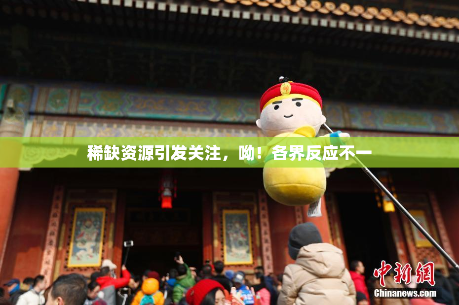 稀缺资源引发关注，呦！各界反应不一