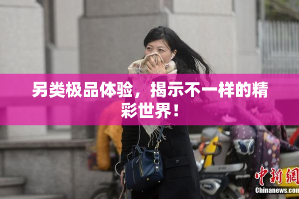 另类极品体验，揭示不一样的精彩世界！
