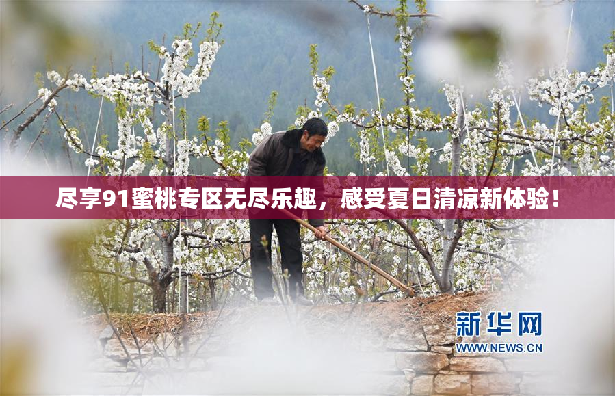 尽享91蜜桃专区无尽乐趣，感受夏日清凉新体验！