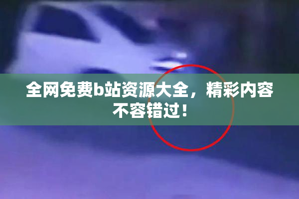 全网免费b站资源大全，精彩内容不容错过！