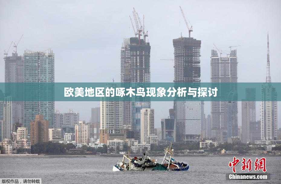 欧美地区的啄木鸟现象分析与探讨
