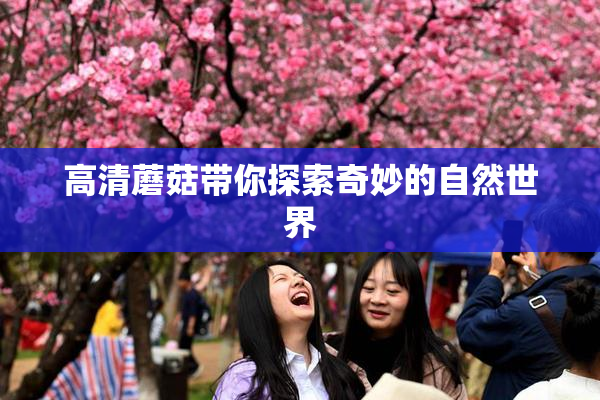 高清蘑菇带你探索奇妙的自然世界
