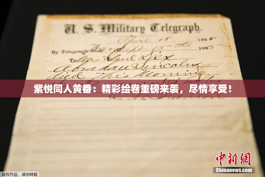 紫悦同人黄番：精彩绘卷重磅来袭，尽情享受！
