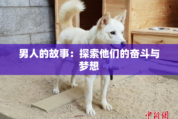 男人的故事：探索他们的奋斗与梦想
