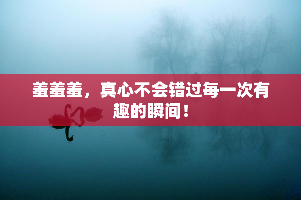羞羞羞，真心不会错过每一次有趣的瞬间！