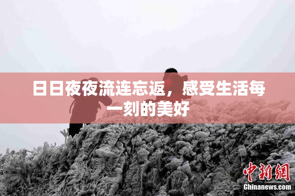 日日夜夜流连忘返，感受生活每一刻的美好