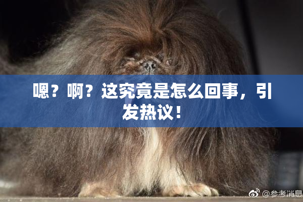 嗯？啊？这究竟是怎么回事，引发热议！