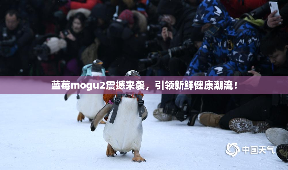 蓝莓mogu2震撼来袭，引领新鲜健康潮流！