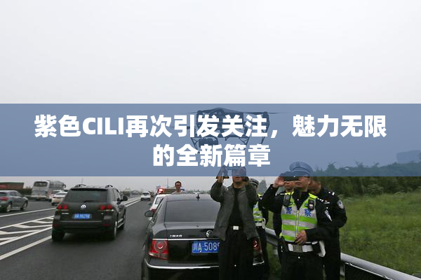 紫色CILI再次引发关注，魅力无限的全新篇章