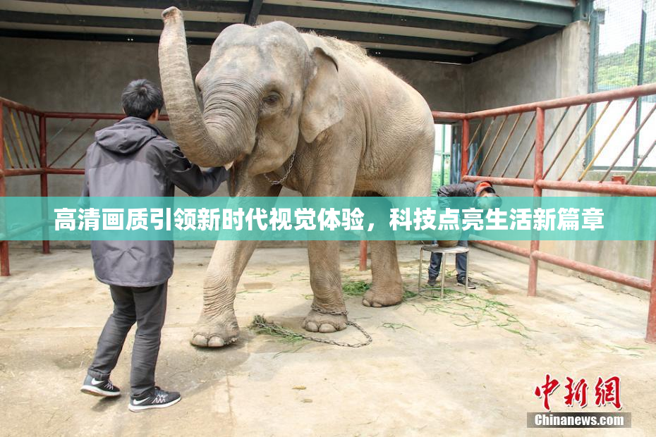 高清画质引领新时代视觉体验，科技点亮生活新篇章