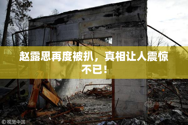 赵露思再度被扒，真相让人震惊不已！