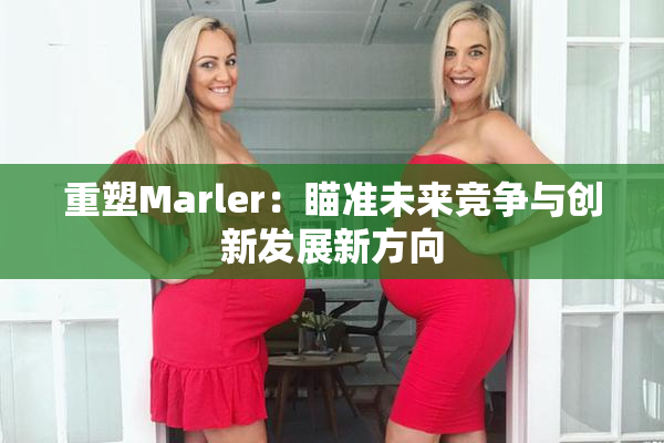 重塑Marler：瞄准未来竞争与创新发展新方向