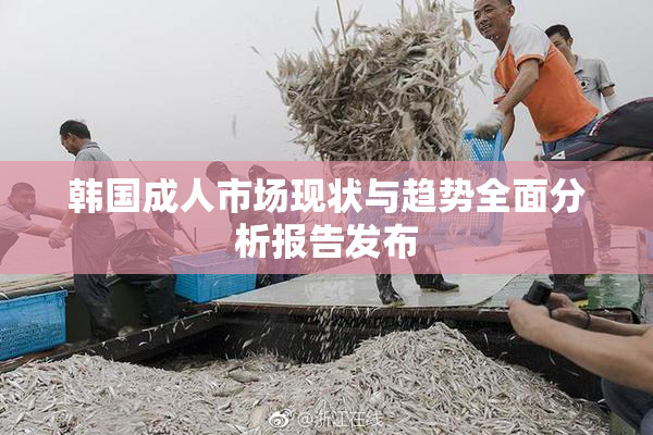 韩国成人市场现状与趋势全面分析报告发布