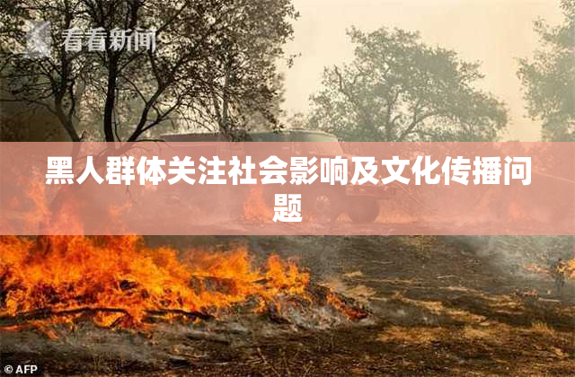 黑人群体关注社会影响及文化传播问题