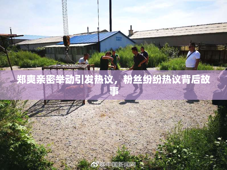 郑爽亲密举动引发热议，粉丝纷纷热议背后故事