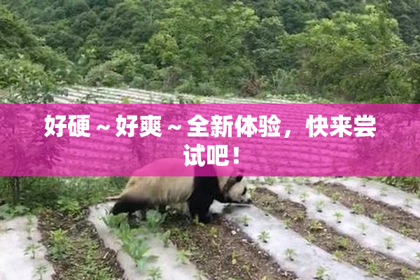 好硬～好爽～全新体验，快来尝试吧！