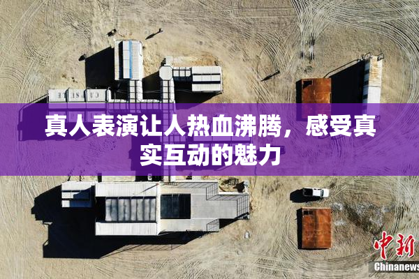真人表演让人热血沸腾，感受真实互动的魅力