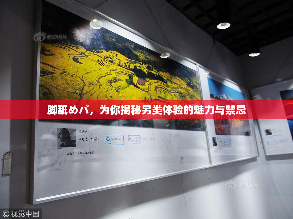 脚舐めパ，为你揭秘另类体验的魅力与禁忌