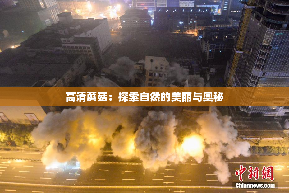 高清蘑菇：探索自然的美丽与奥秘