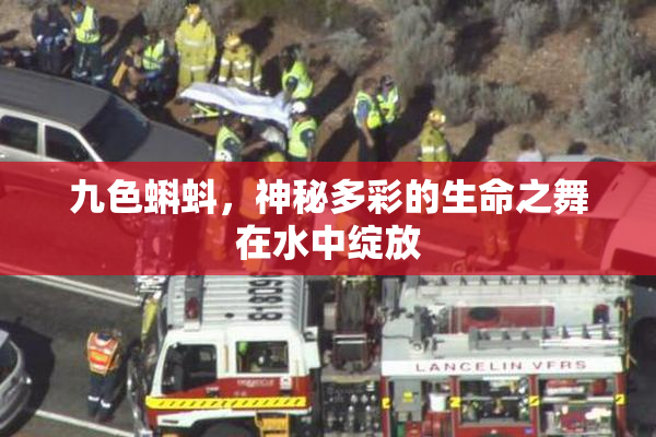 九色蝌蚪，神秘多彩的生命之舞在水中绽放