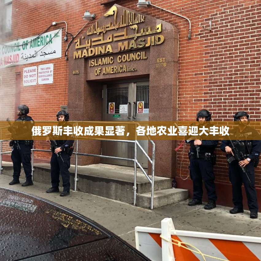 俄罗斯丰收成果显著，各地农业喜迎大丰收