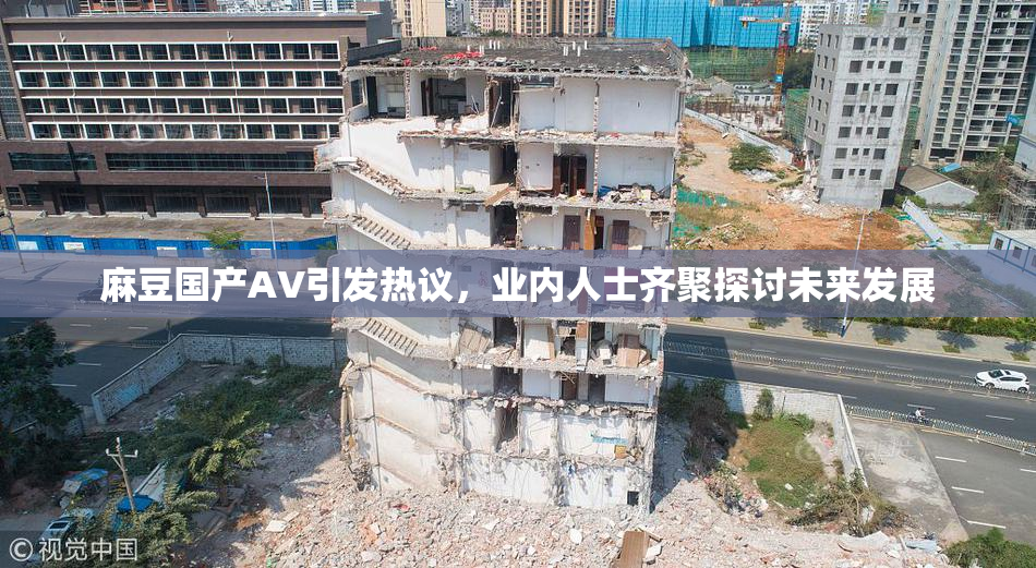 麻豆国产AV引发热议，业内人士齐聚探讨未来发展