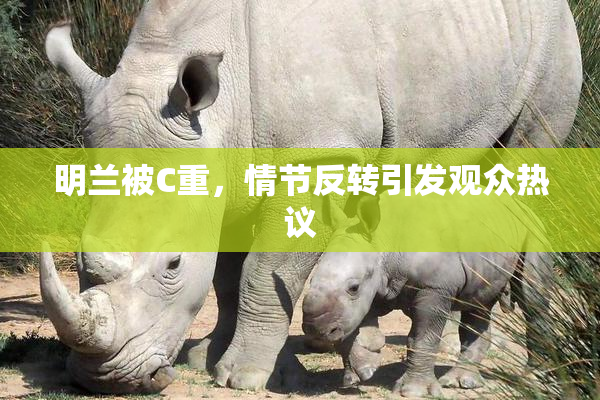 明兰被C重，情节反转引发观众热议