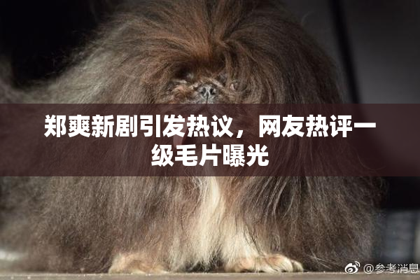 郑爽新剧引发热议，网友热评一级毛片曝光