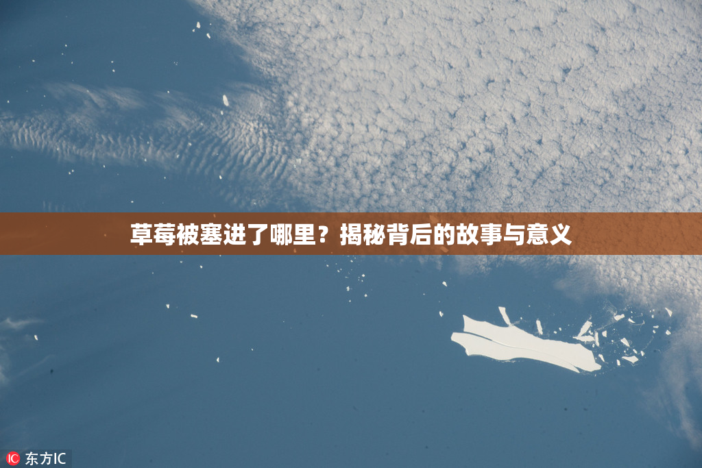 草莓被塞进了哪里？揭秘背后的故事与意义