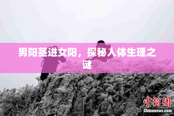 男阳茎进女阳，探秘人体生理之谜