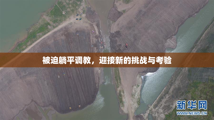 被迫躺平调教，迎接新的挑战与考验