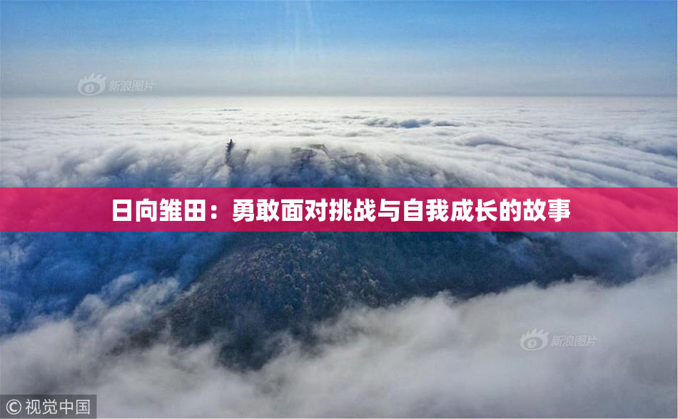 日向雏田：勇敢面对挑战与自我成长的故事