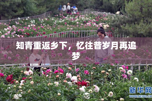 知青重返乡下，忆往昔岁月再追梦
