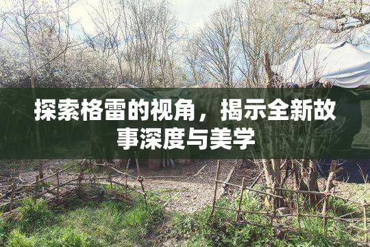 探索格雷的视角，揭示全新故事深度与美学