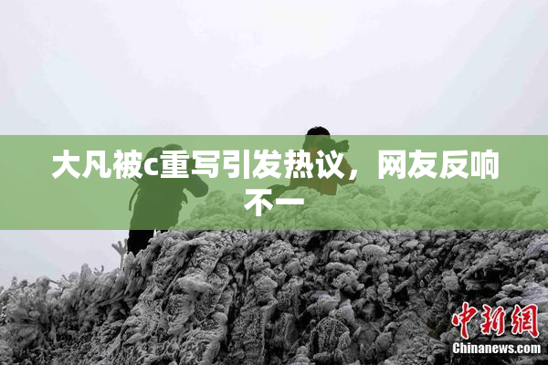 大凡被c重写引发热议，网友反响不一