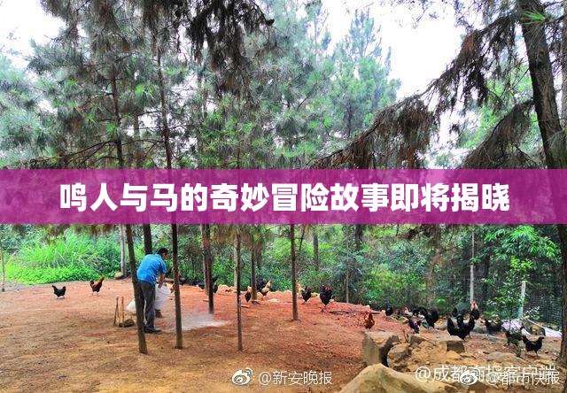 鸣人与马的奇妙冒险故事即将揭晓