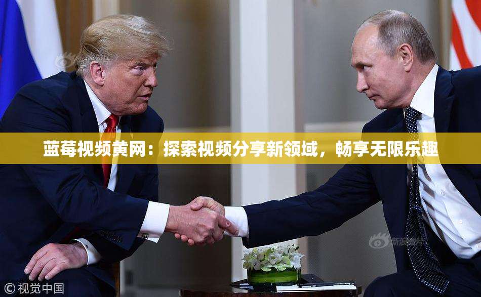 蓝莓视频黄网：探索视频分享新领域，畅享无限乐趣