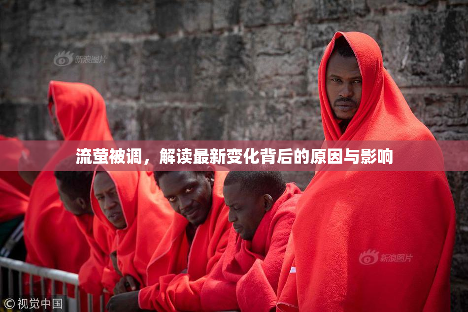 流萤被调，解读最新变化背后的原因与影响
