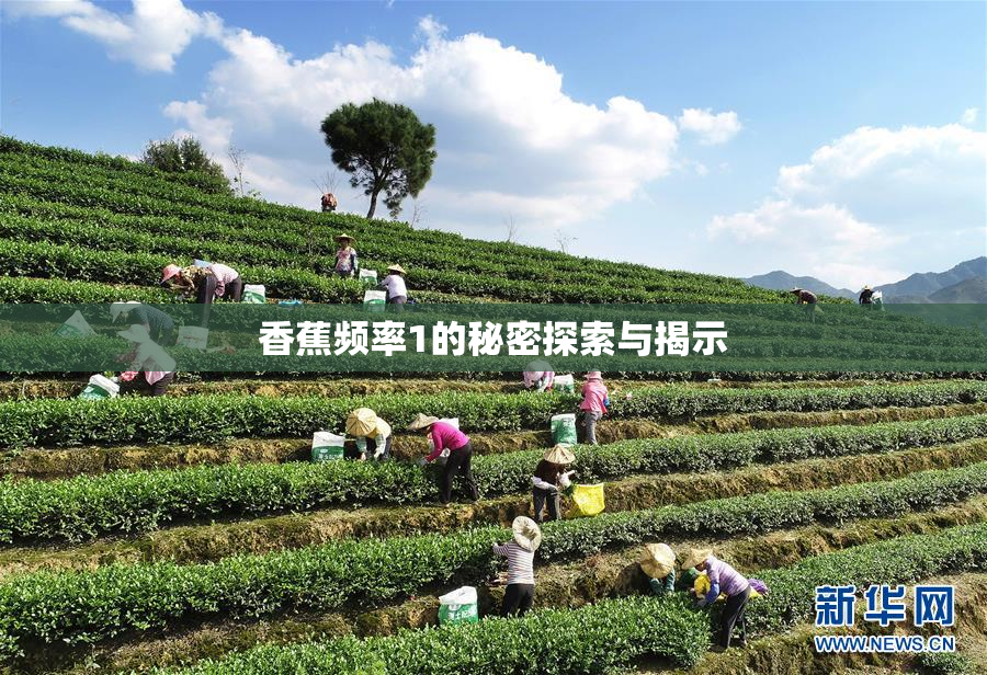 香蕉频率1的秘密探索与揭示