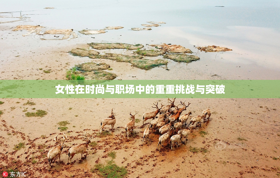 女性在时尚与职场中的重重挑战与突破