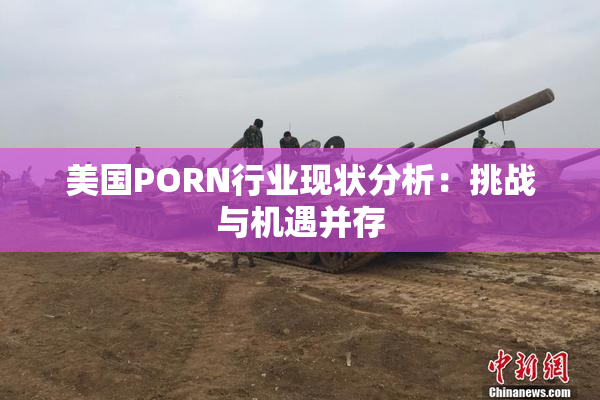 美国PORN行业现状分析：挑战与机遇并存