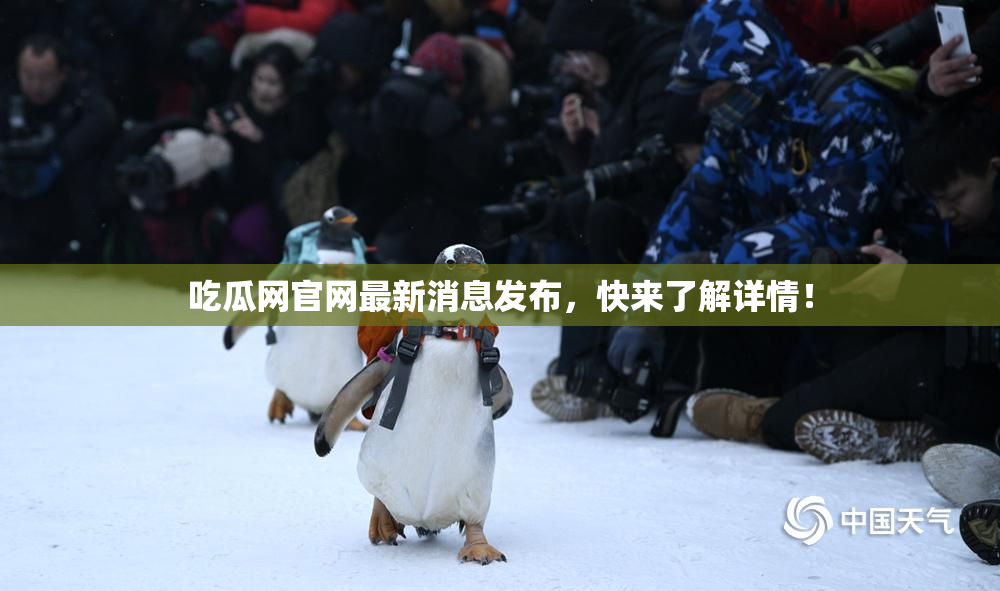 吃瓜网官网最新消息发布，快来了解详情！