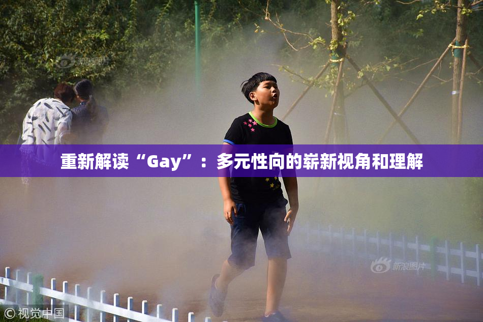 重新解读“Gay”：多元性向的崭新视角和理解