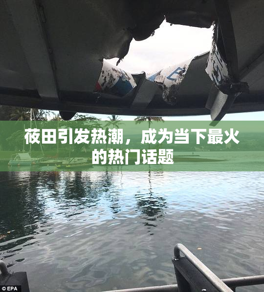 莜田引发热潮，成为当下最火的热门话题