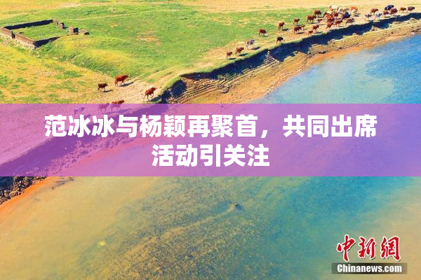 范冰冰与杨颖再聚首，共同出席活动引关注