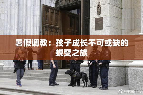 暑假调教：孩子成长不可或缺的蜕变之旅